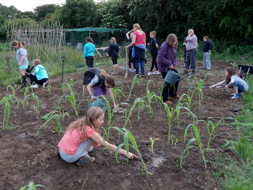 Hungerford Guides